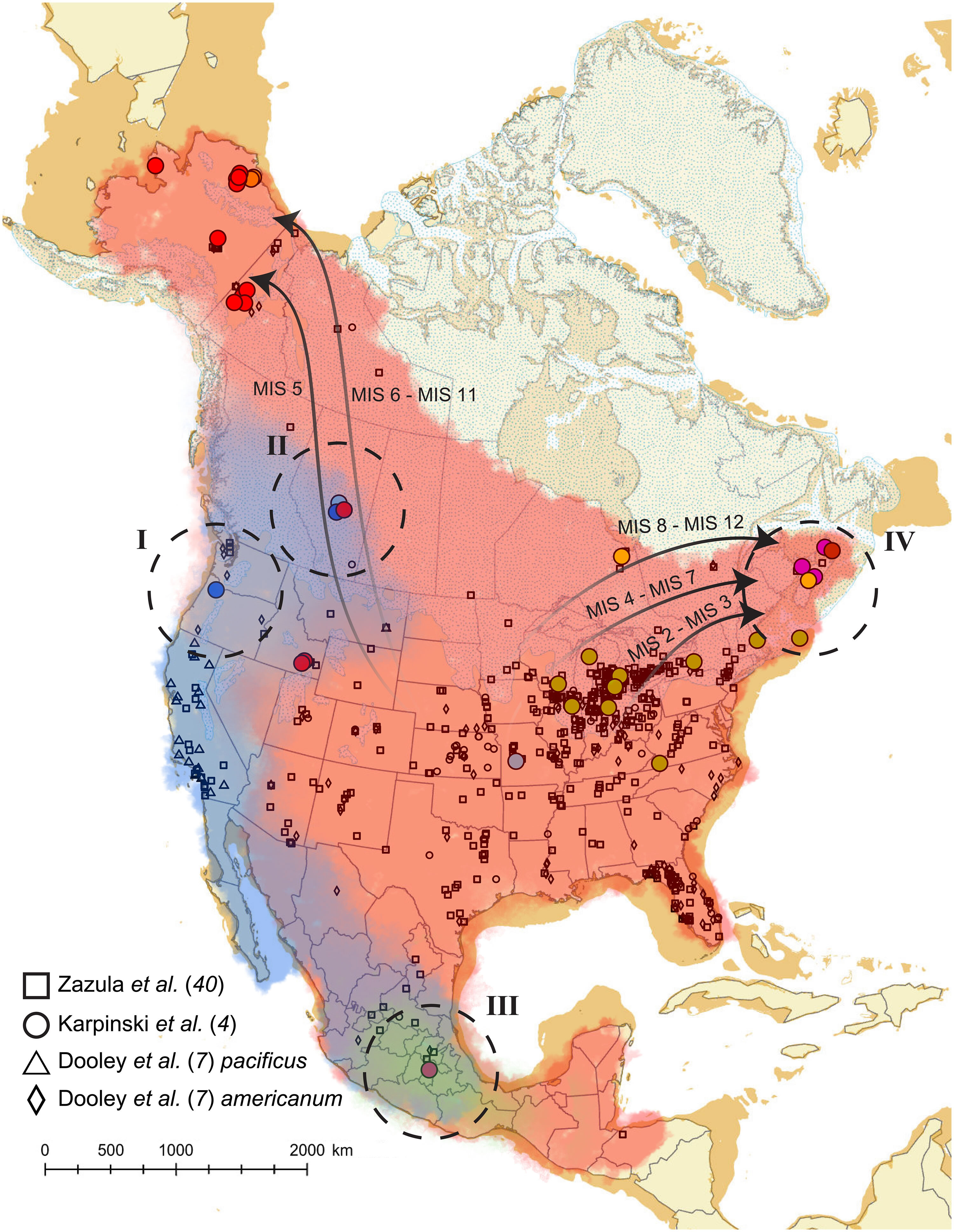 �Ŵ�DNA��ʾ�˼��临�ӵ��������������仯�����ķ���Ǩ��