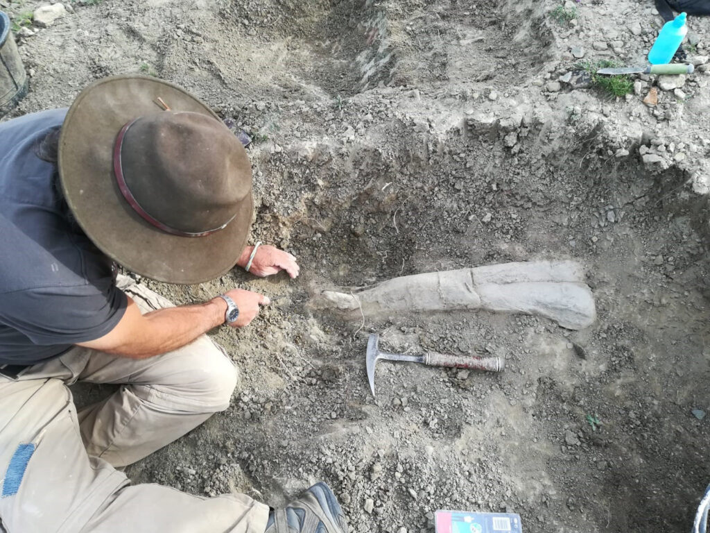 这只拥有1.28亿年历史的恐龙可能是棘龙的真正祖先