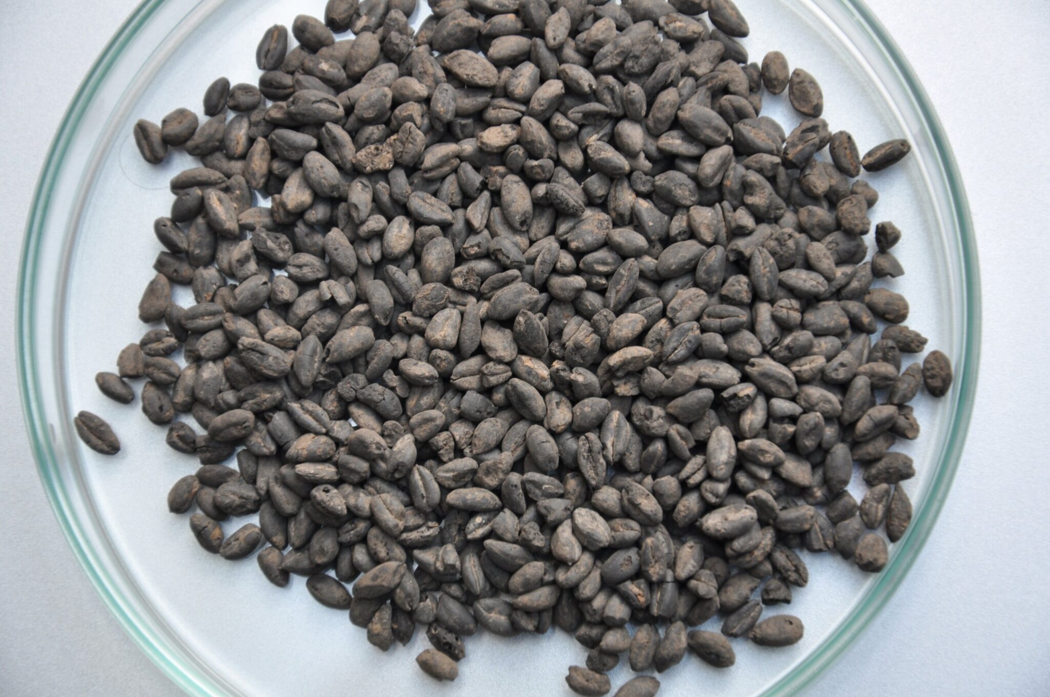 ѧҽʾ7,000ǰŴũθıŷ޵