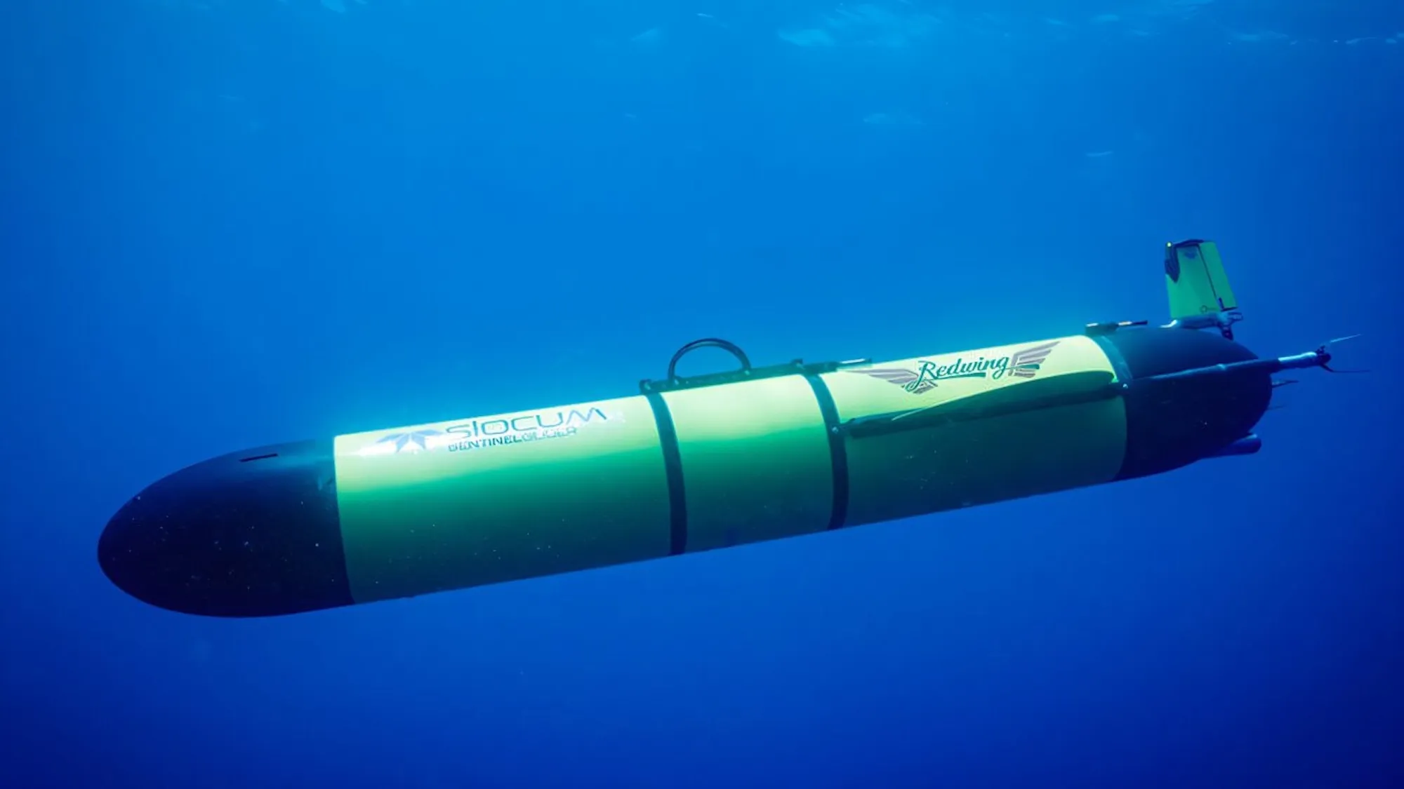 ԶʻǱͧRedwingʼƵʷ