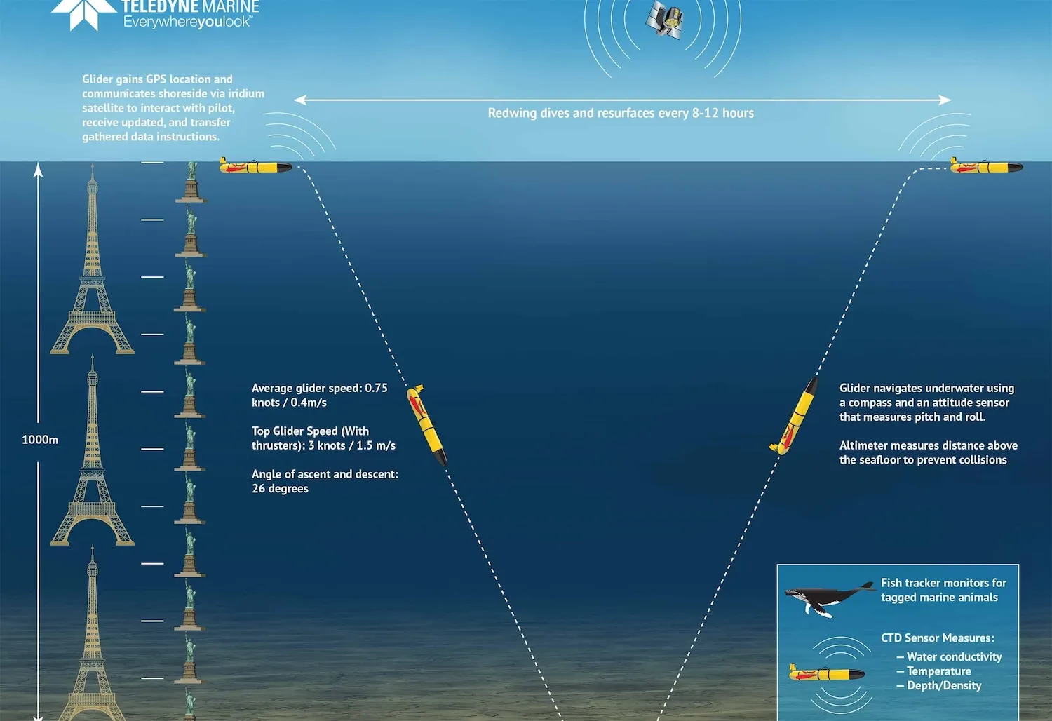 ԶʻǱͧRedwingʼƵʷ