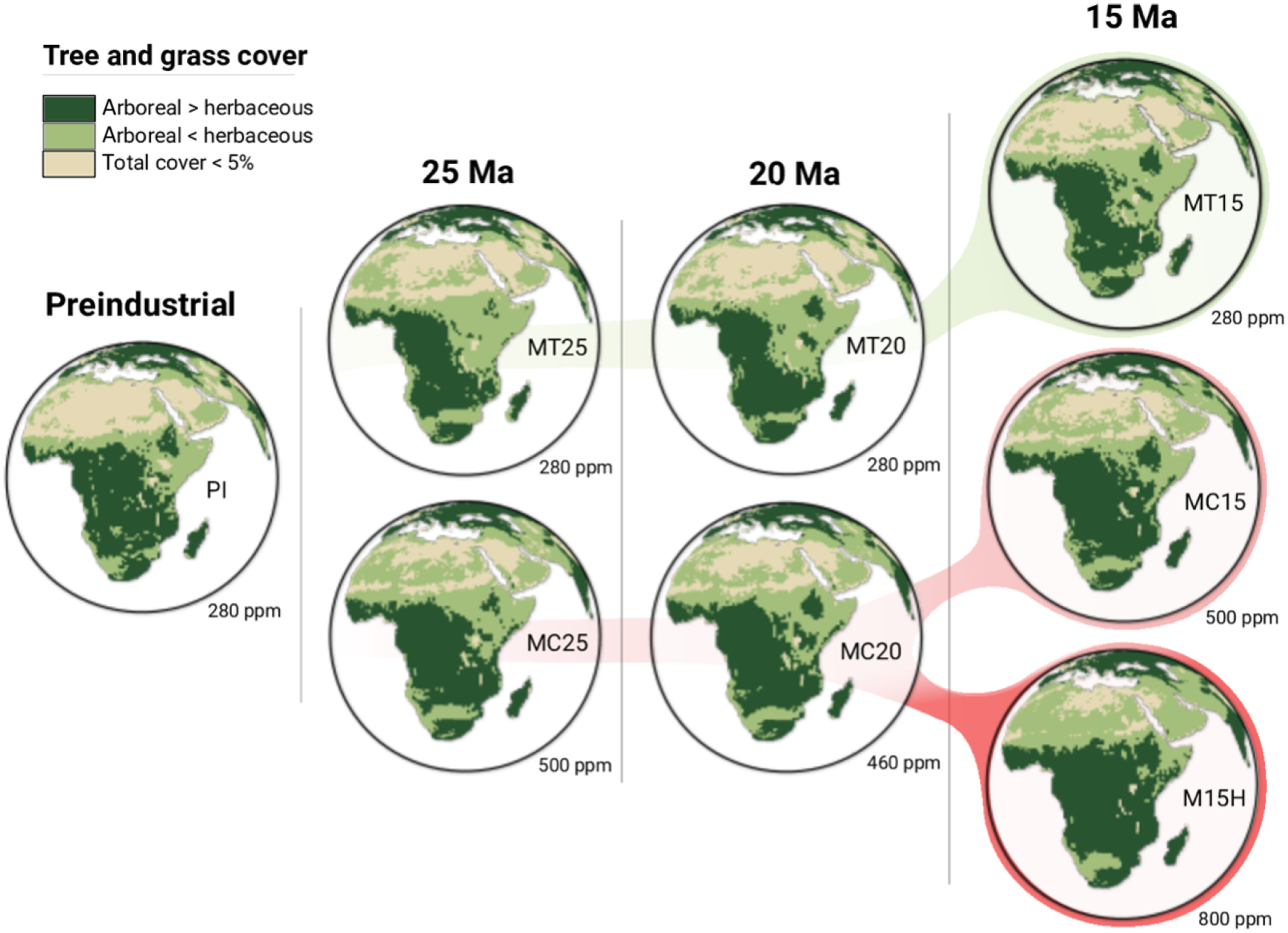 东非的隆起如何塑造其生态系统:气候模型模拟揭示了中新世景观的转变