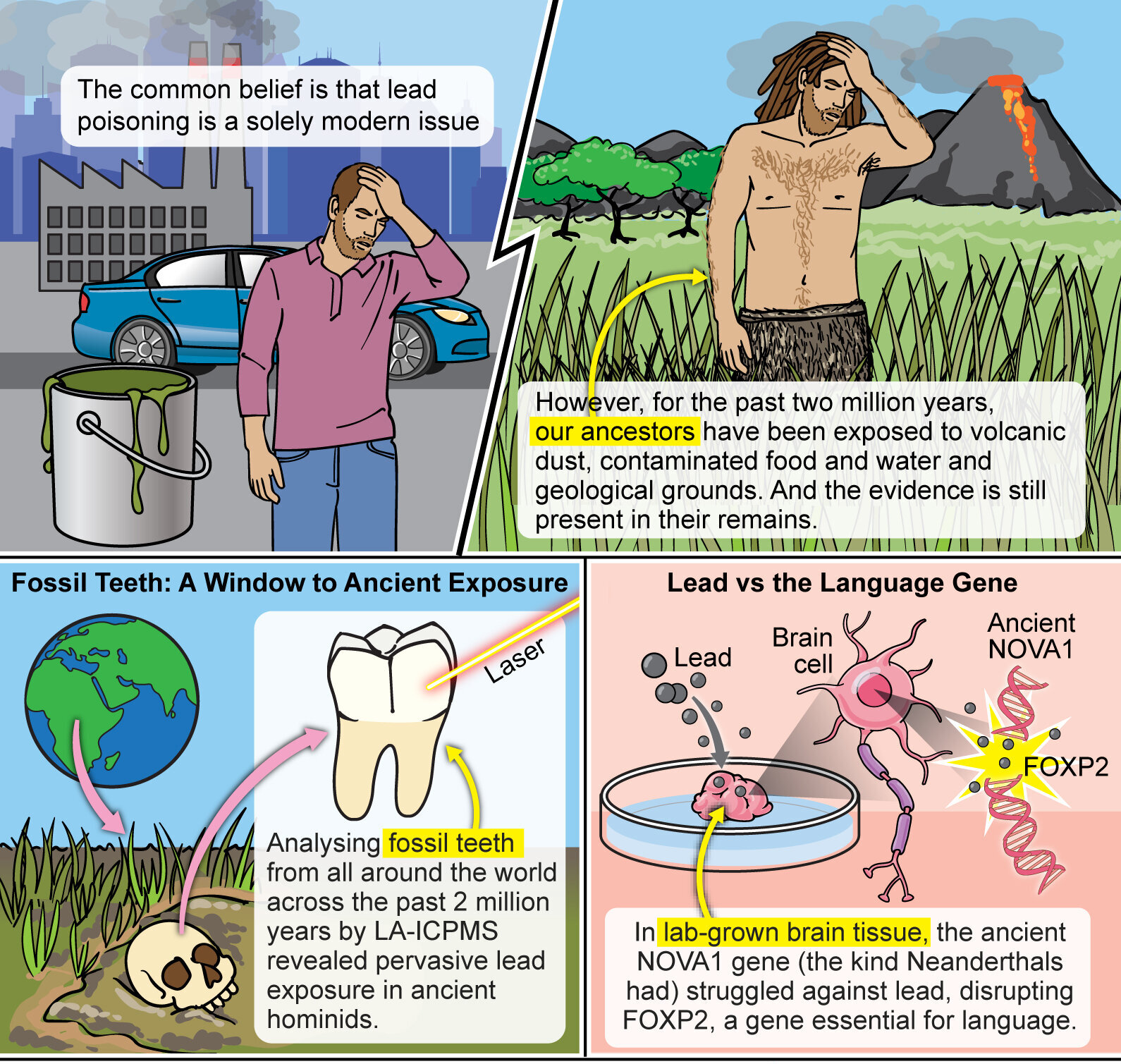 铅中毒有助于创造人类吗?令人震惊的研究表明,它可能塑造了我们的大脑和语言