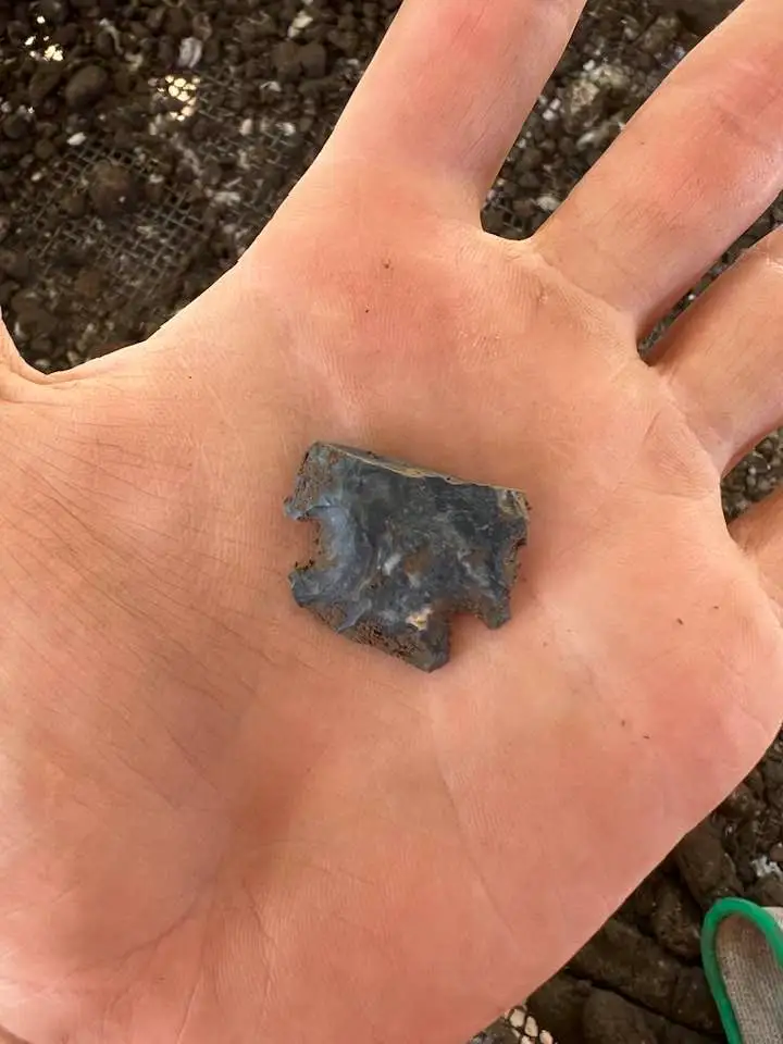 ڶʷƾõСƹݷֵֺϡ19Ӳ