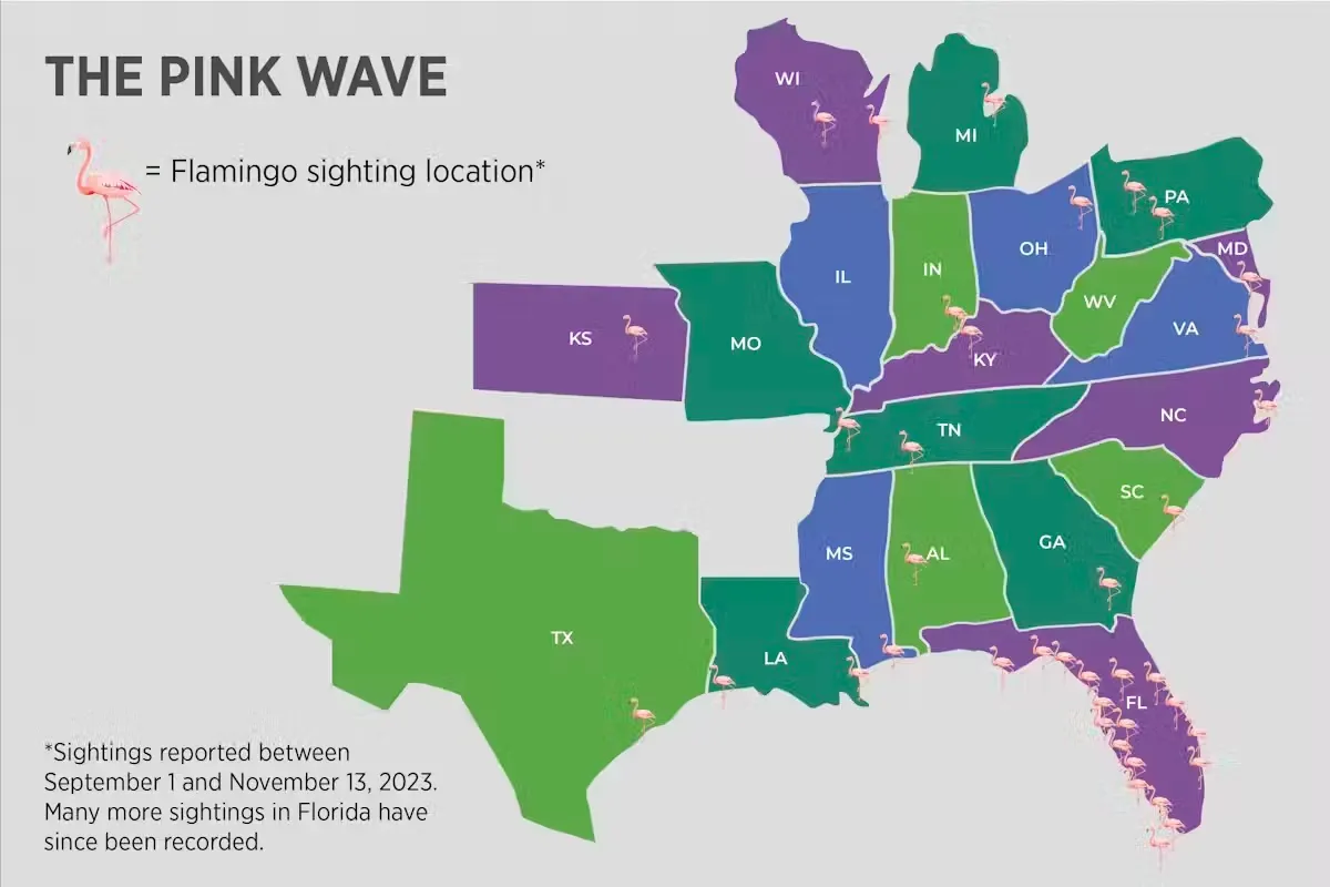 ������ʱ��100���ٴ��ڷ�����ﰲ��