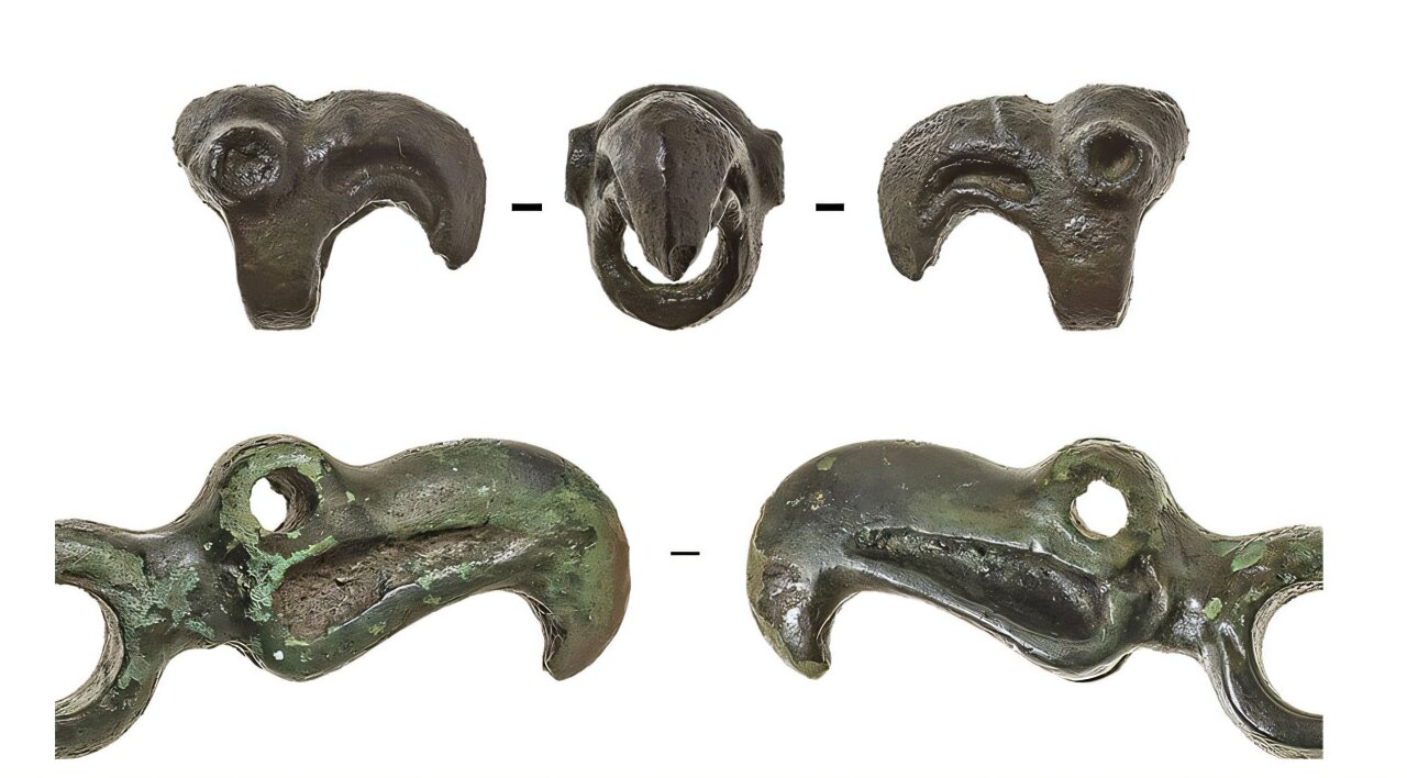 ����ѧ�����������Ƿ�����һ��ʧ���˹��̩��Ĺ����������������̾Ϊ��ֹ