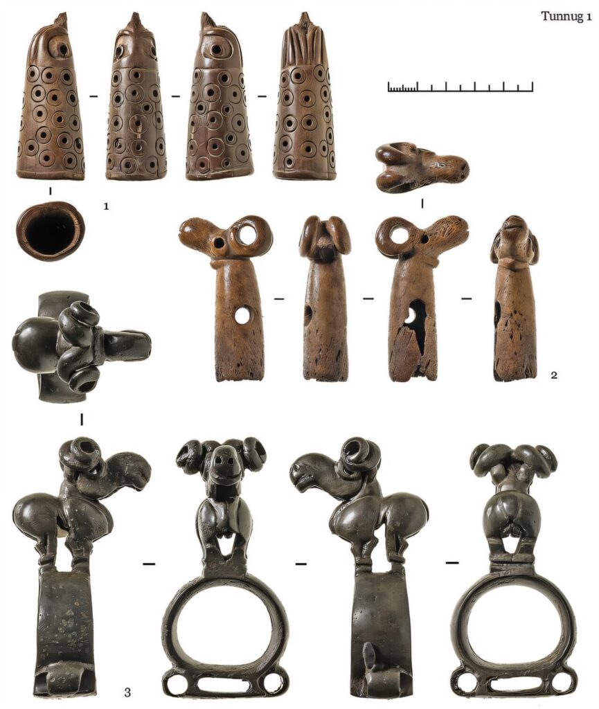 ����ѧ�����������Ƿ�����һ��ʧ���˹��̩��Ĺ����������������̾Ϊ��ֹ