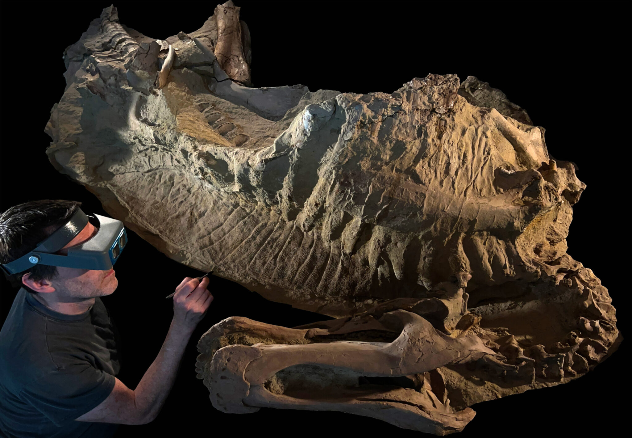 6600ǰճ״չ־ͿıȫФ