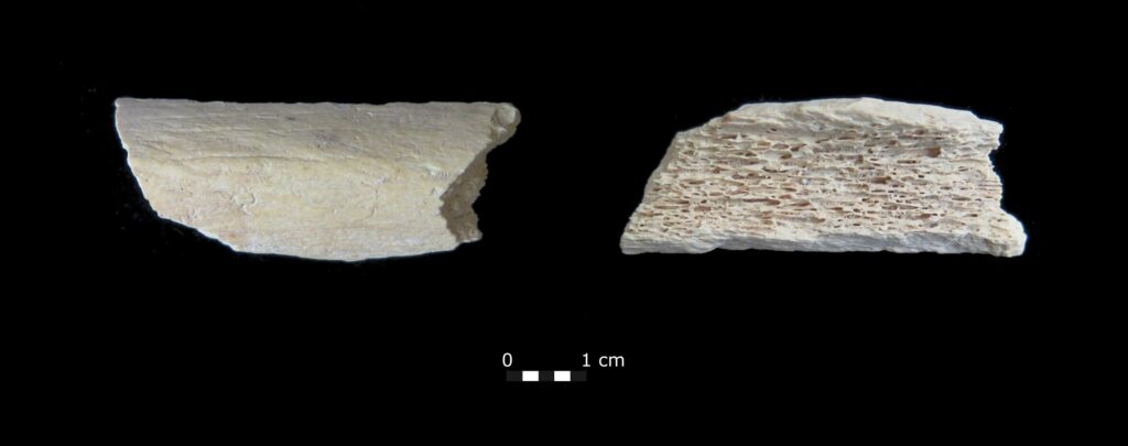 45,000��ǰ�Ĺ�ͷ��ʾ�ᰲ����������ʧǰ��Խ�˴�½