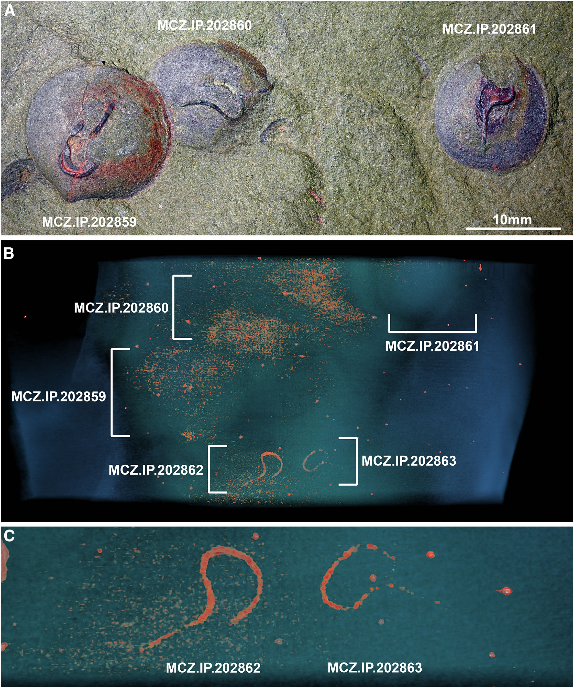 4.8����ǰ�ļ�������Ȼ�����Ž���ı���