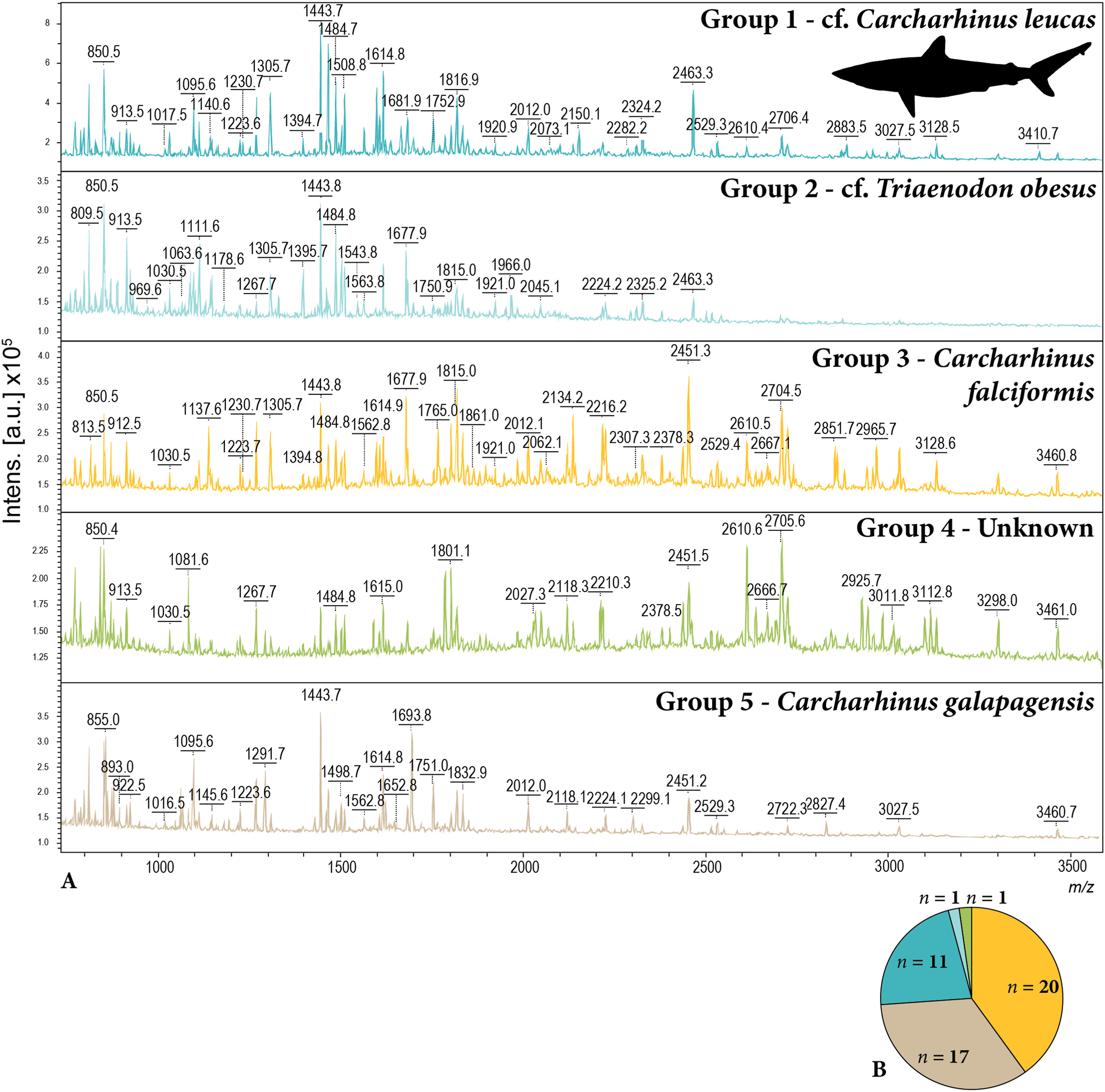 ͨԭصĻѧָƽʾʯʱ̫ƽĲΪ