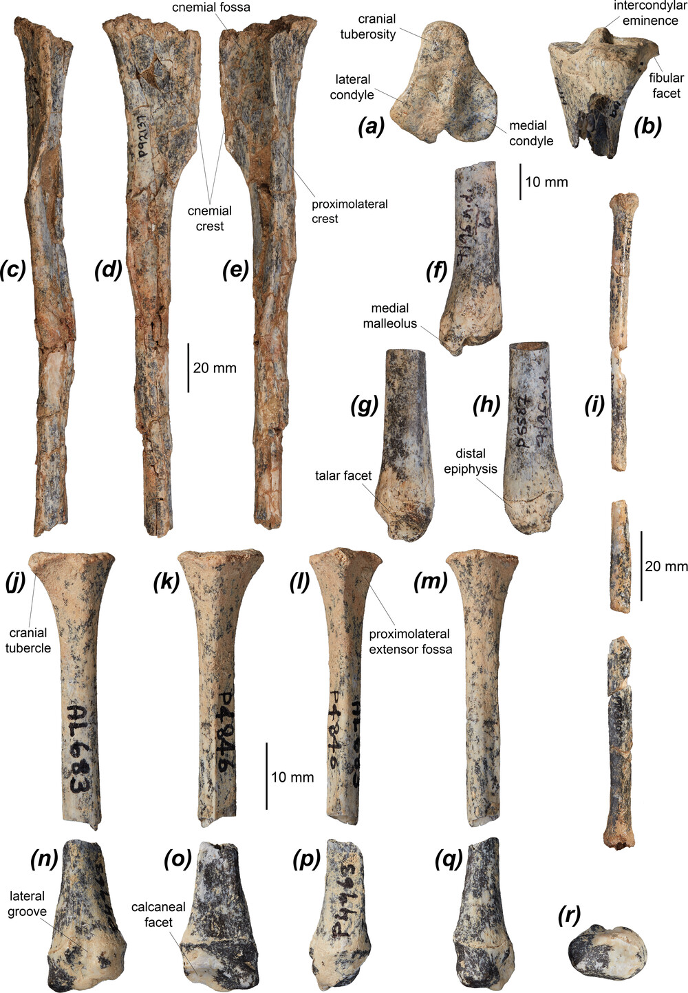 о֣һֻ϶͵СΪԾĳɹ춨˻