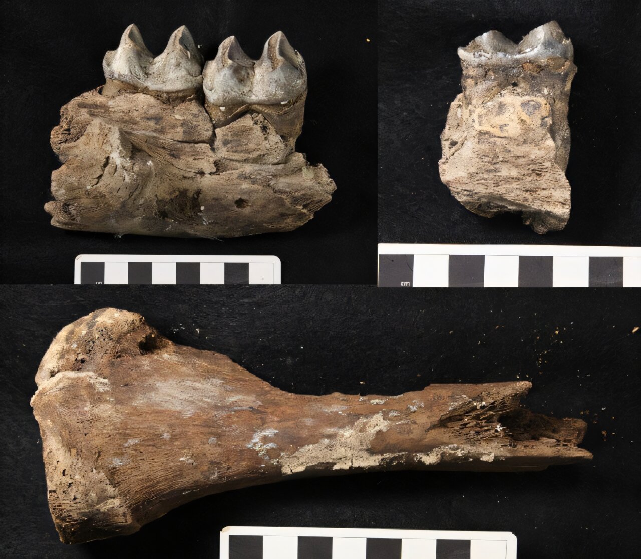 ѧҷֿǿµıʱʳߵĽ