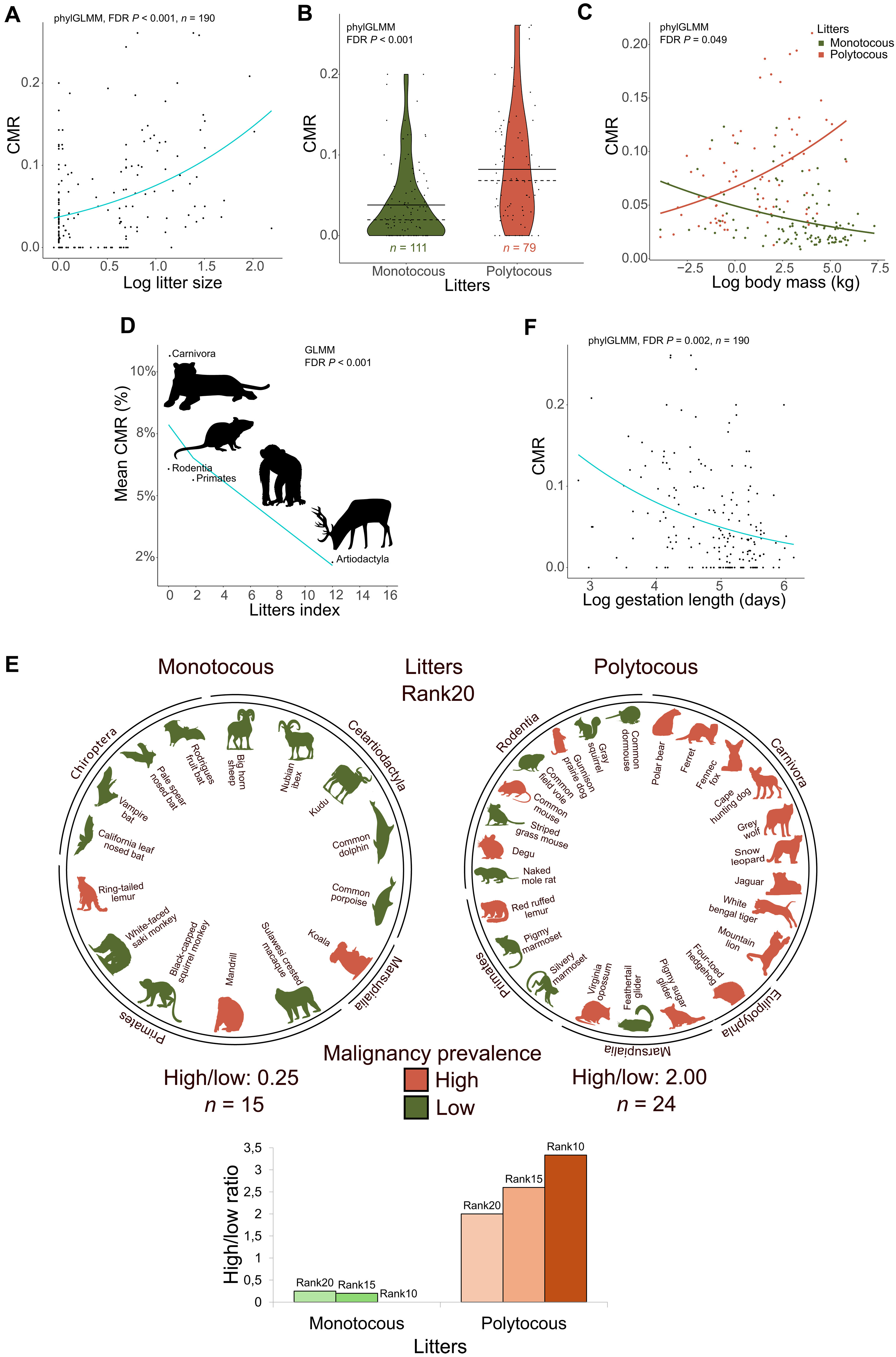 Ϊʲô󲻻ð֢罻𾪵ϵ