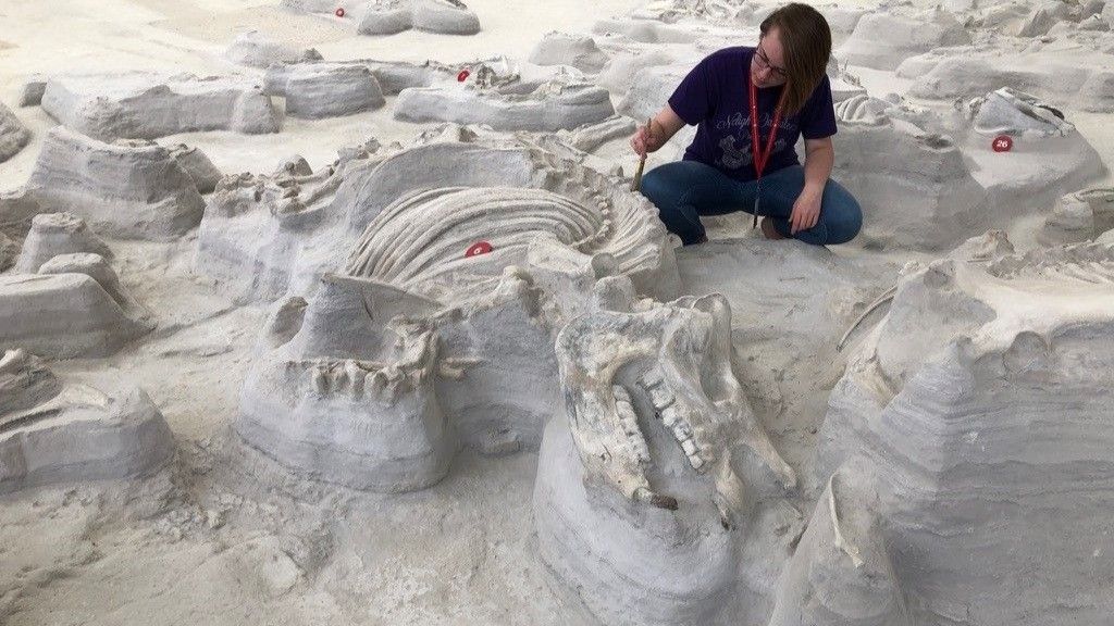 ϵĽӡʾ1200ǰʯ԰д͵Ȯβ桰ӱϬţ