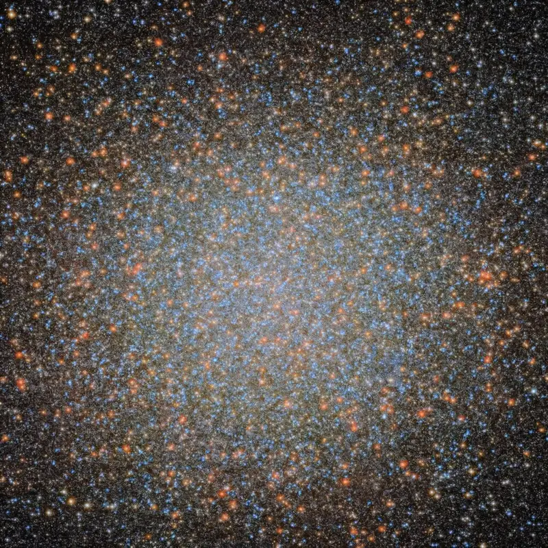 ����ѧ��������ϵ��������ŷ������״�����з���һ���е������ڶ��������쳣����