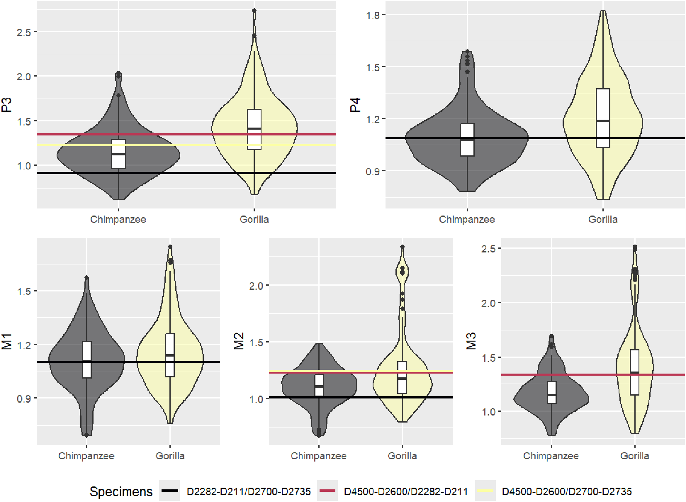 һ���µ��о���������������������һ�����Է��ޣ�������һ��