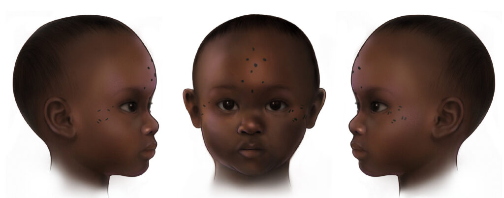 Ӥ�����ϵĹŴ��������µ�Ӱ����ʾ��Ŭ����Ӥ���ı�ǿ�׷�ݵ���1300��ǰ