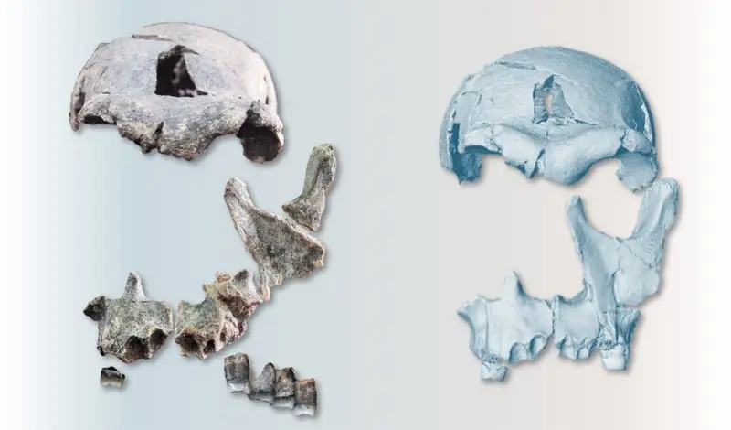 ��ѧ������һ��150����ǰ��������׸�����㲻����������ʾ��ʲô