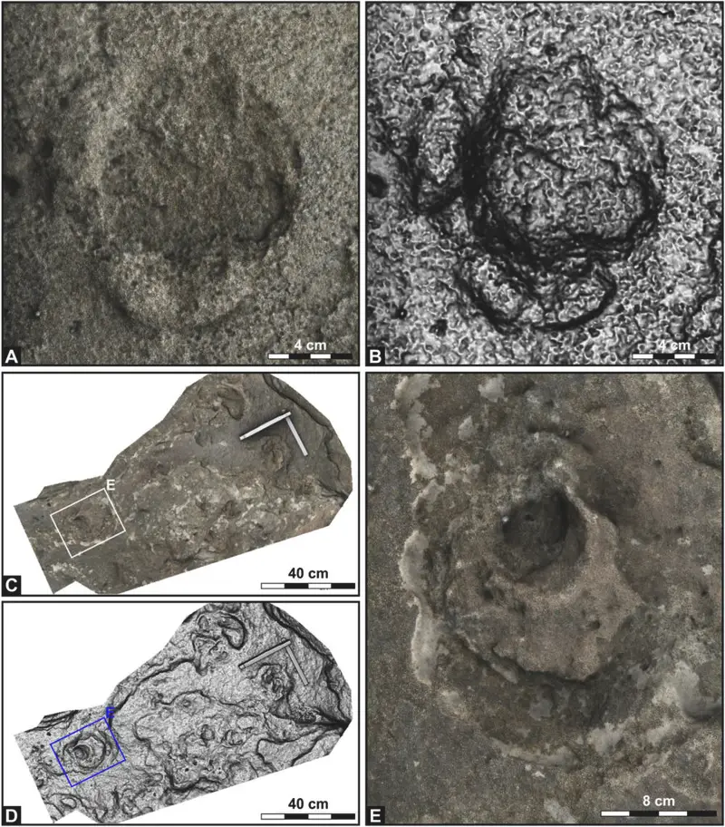 ��ѧ�������غ�ɳ���з����˴�����㼣������Щ�㼣����12.5������ʷ