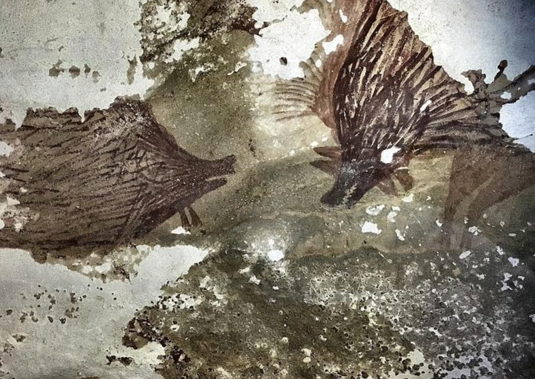 ���Ѿ�������5����