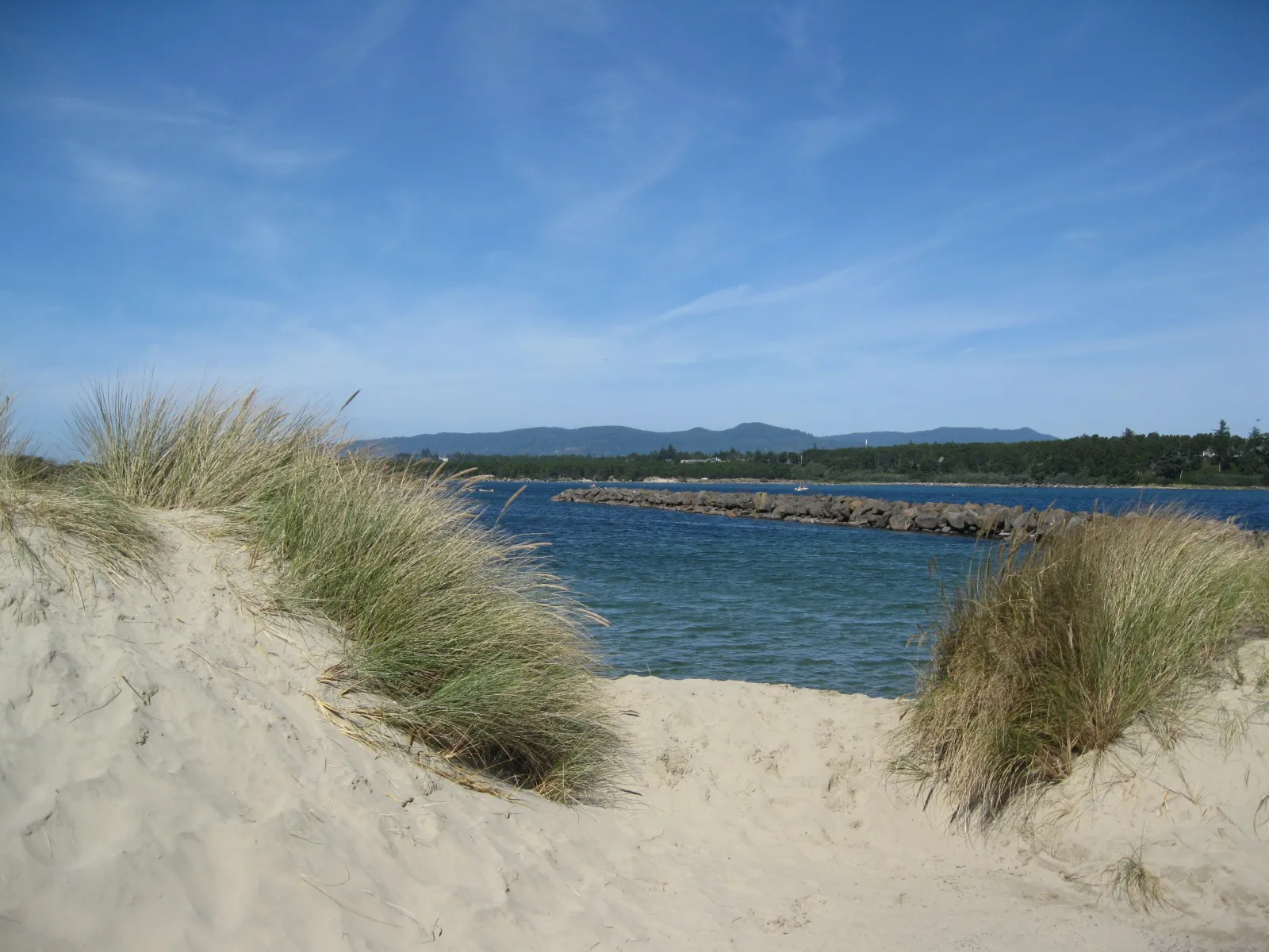 �飡�Ǵ��������ո���ըҩը����һͷ����