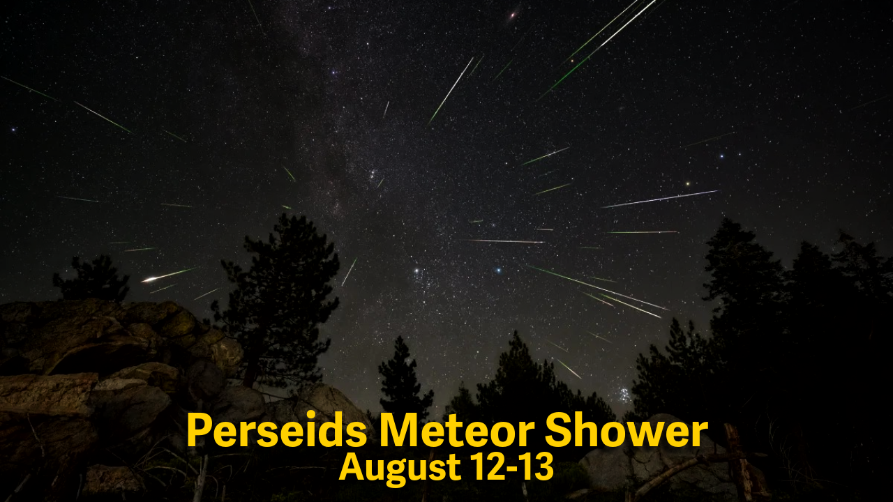 2026����ֵ��ע��������¼���һ��Ĺ���֮��