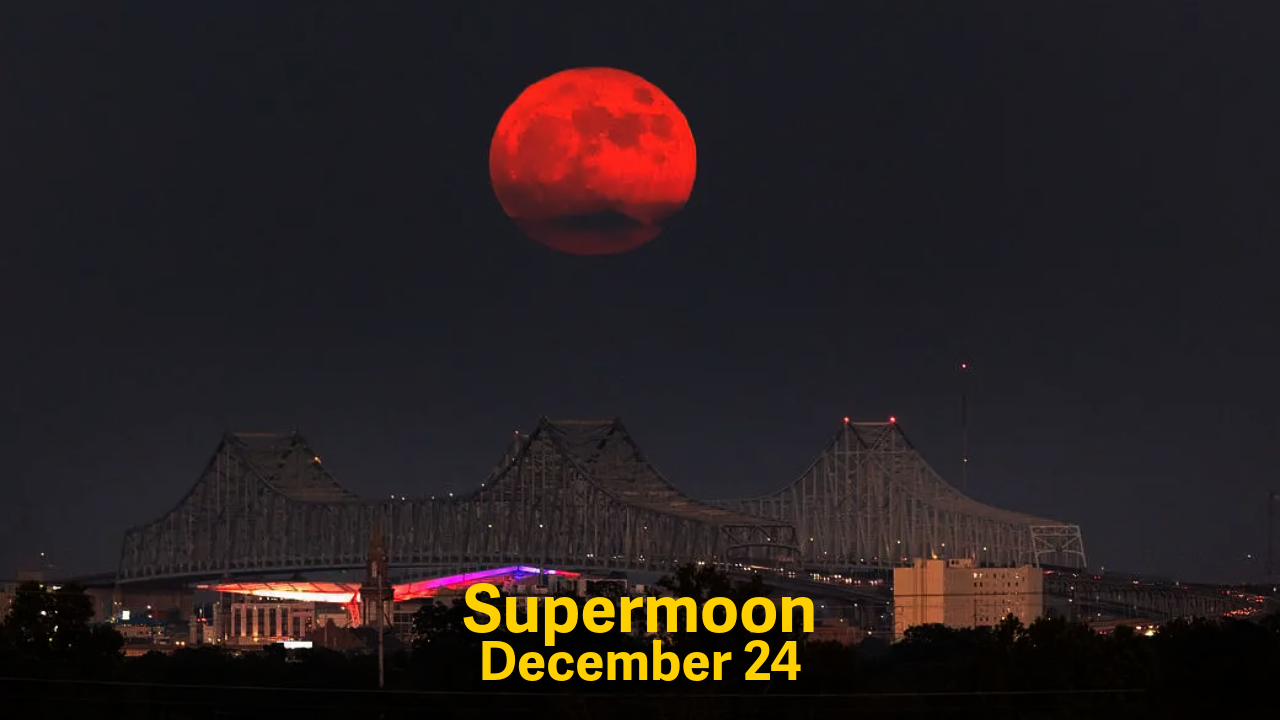 2026����ֵ��ע��������¼���һ��Ĺ���֮��