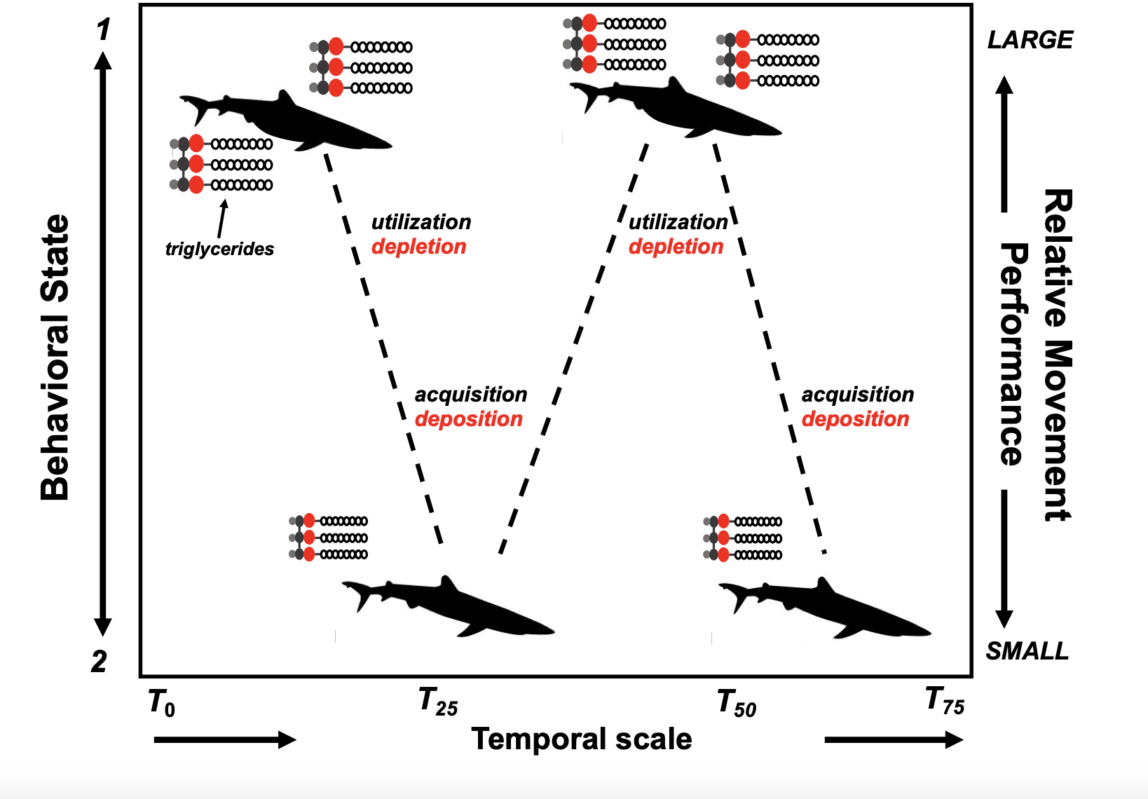 һ�����о�������������������������н��������