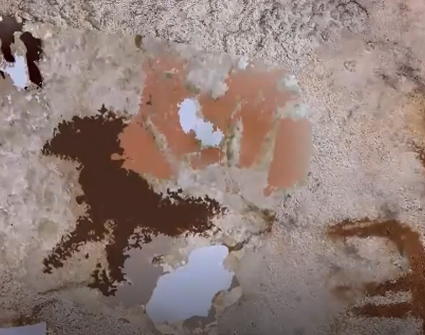 在印度尼西亚洞穴中发现的世界最古老的岩画