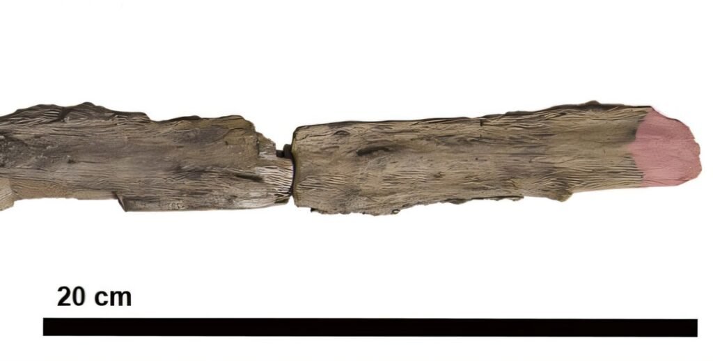 ��ѧ����ϣ��ʷǰ������������������ϵ��ֳ�ľ�ƹ���