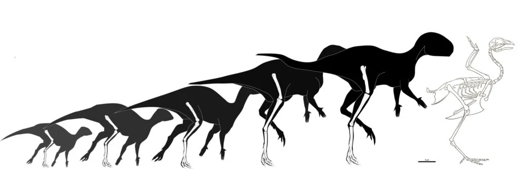 ��ֻ�¿��������ȼ�è�󣬵������ڸ�д��ʷ