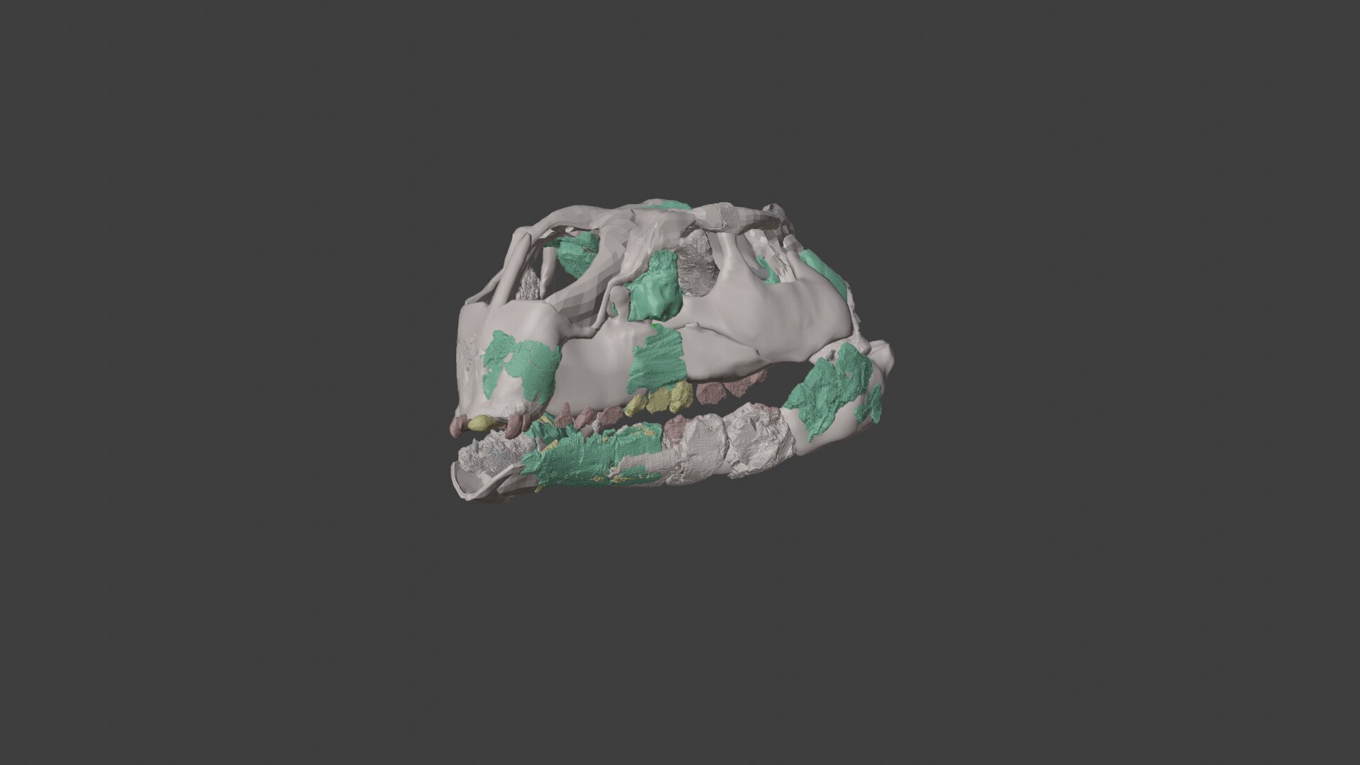 ��ֻ�¿��������ȼ�è�󣬵������ڸ�д��ʷ