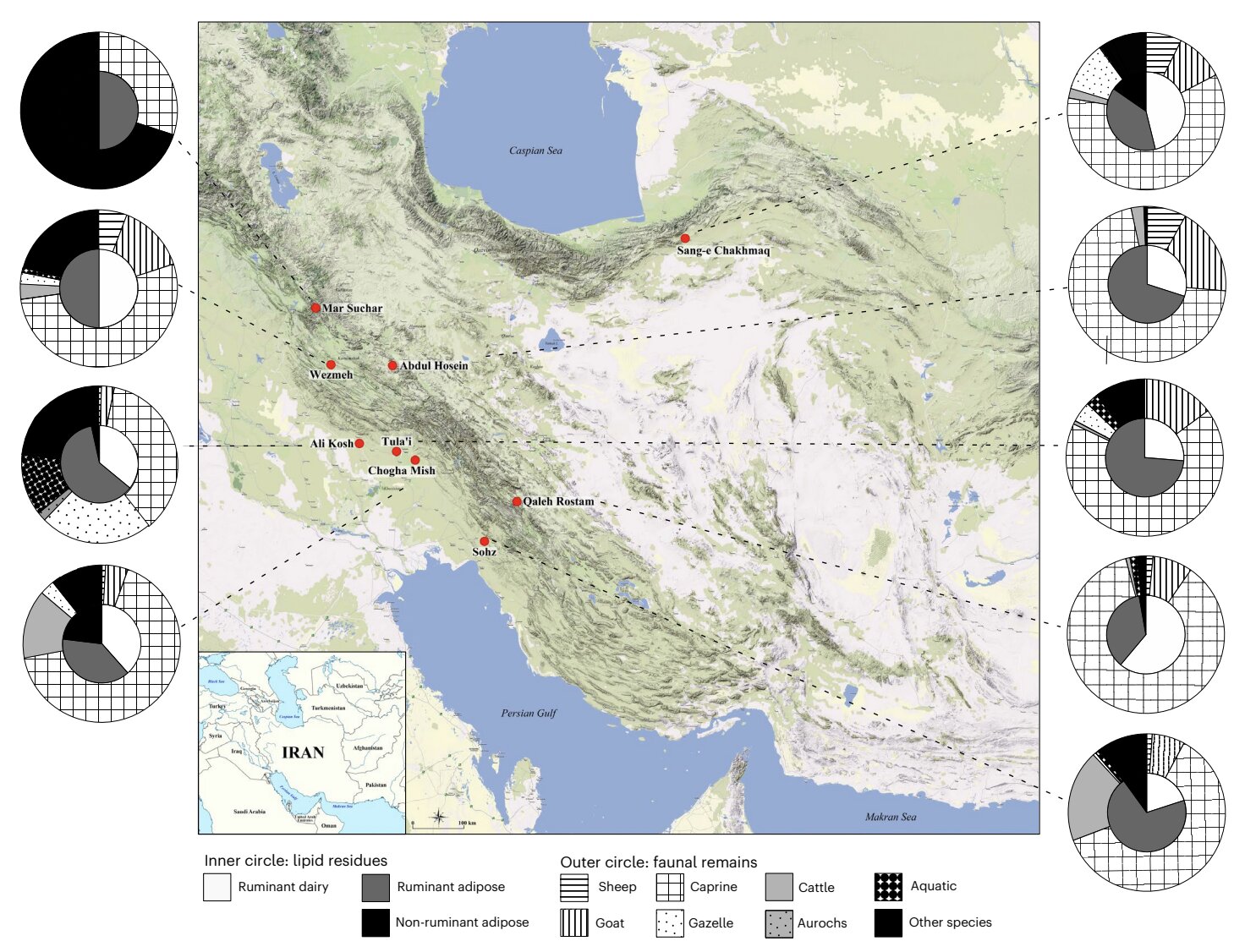 ��ѧ���������������з���������������ϵ�ţ��й©