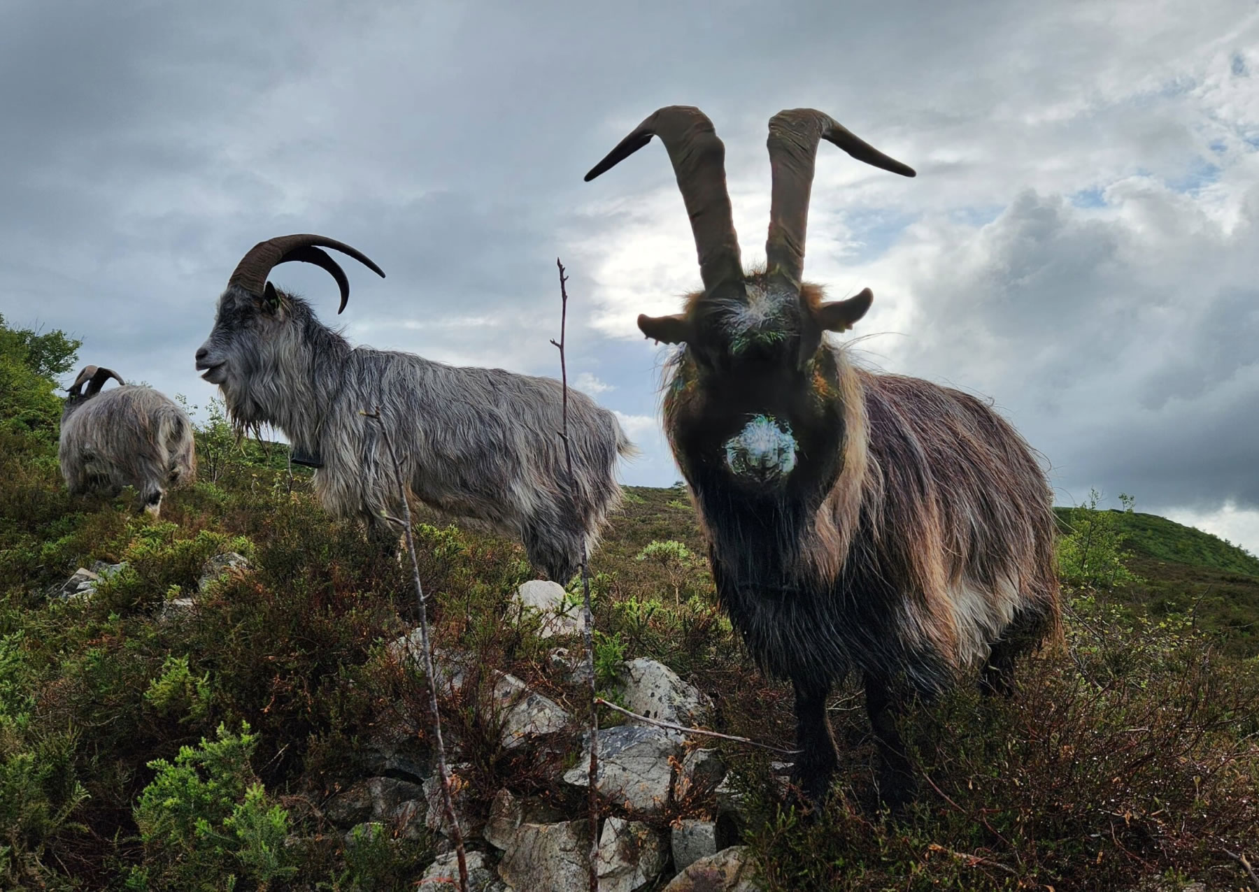 �������ı���ɽ���׷�ݵ���ͭʱ��