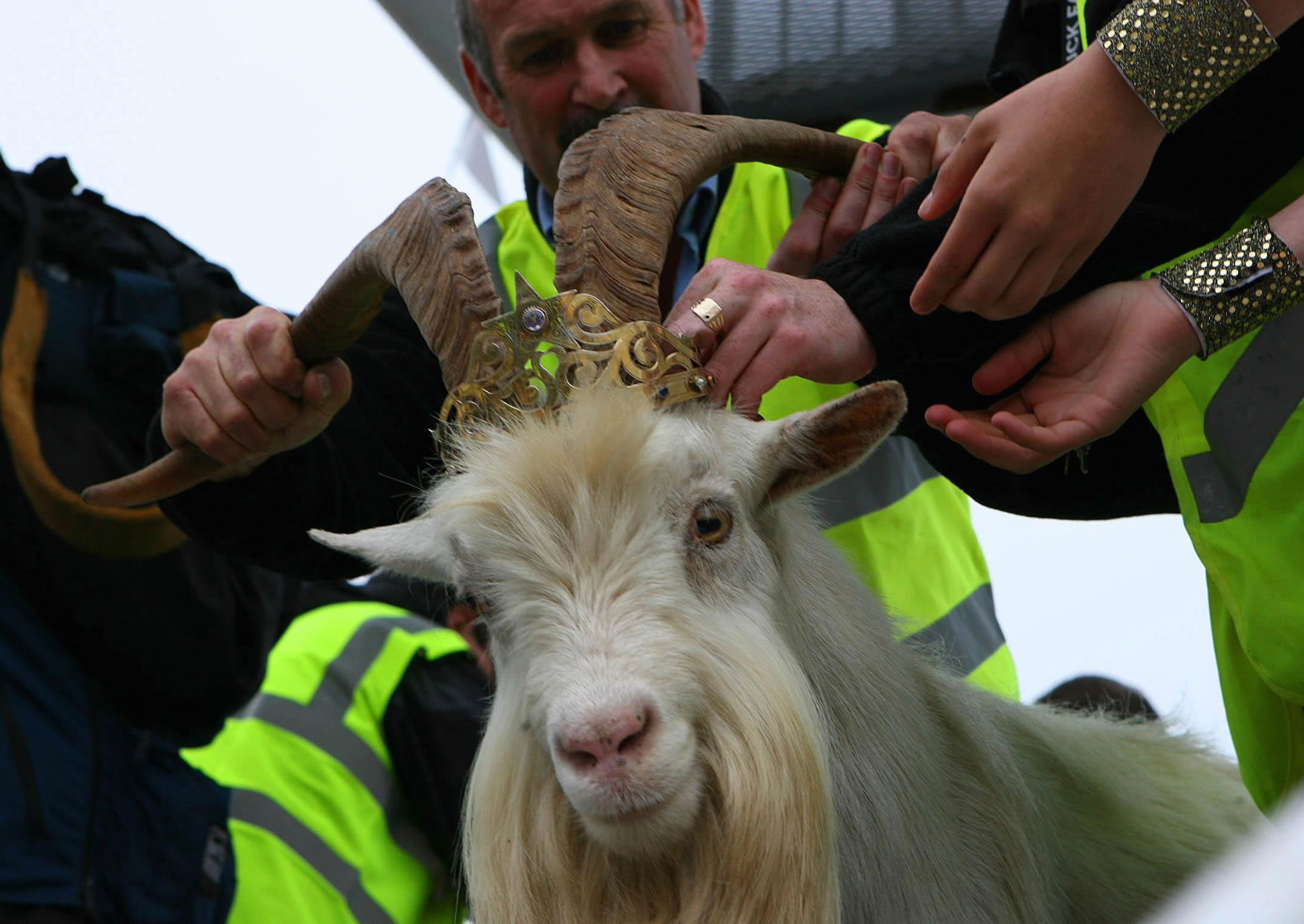 �������ı���ɽ���׷�ݵ���ͭʱ��