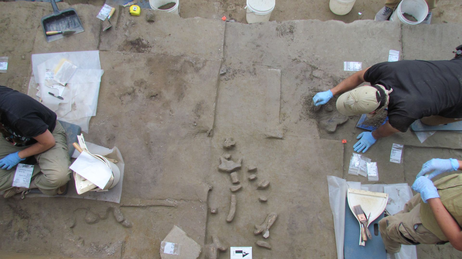 在阿拉斯加发现的14,000年前象牙工具暗示了克洛维斯祖先最初抵达新大陆的经过