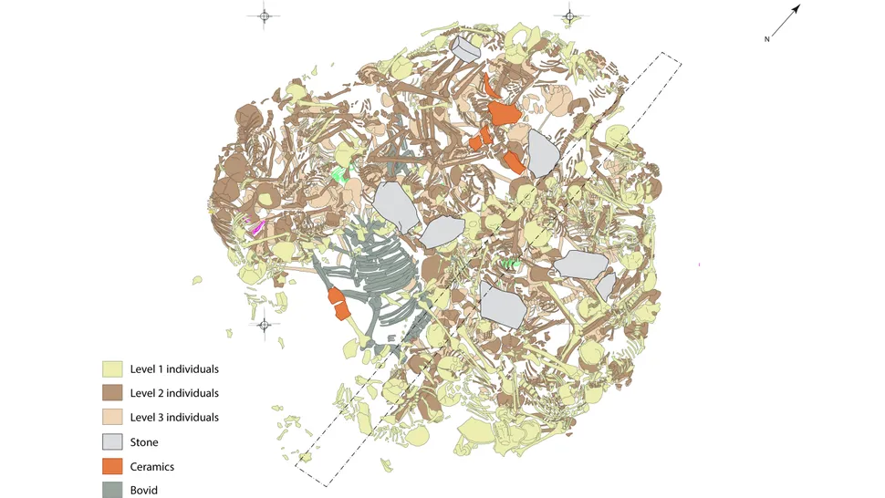 ������ά�Ƿ��ֵ�2800�긾Ů�Ͷ�ͯ����Ĺ��ʾ�ˡ����̡������Ҹ�Ч���ı���