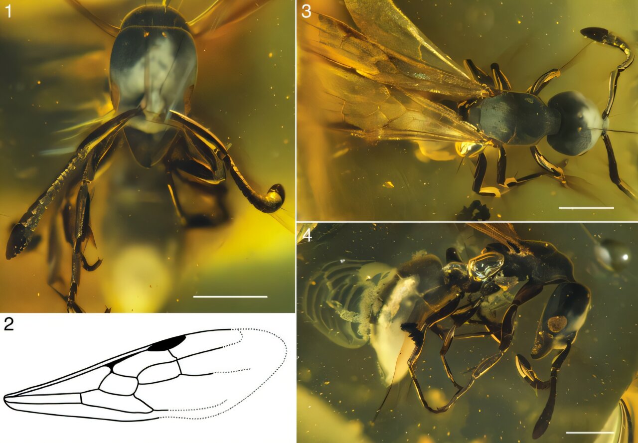 ��ѧ�����ڷ���������������ͨ���ϵ�ʧ������