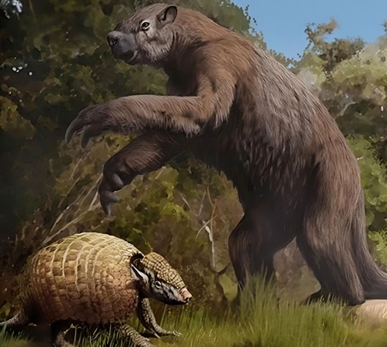 �ڱ���û�ĵ¿���˹��Ѩ�з��ֵľ���������������������ʯ