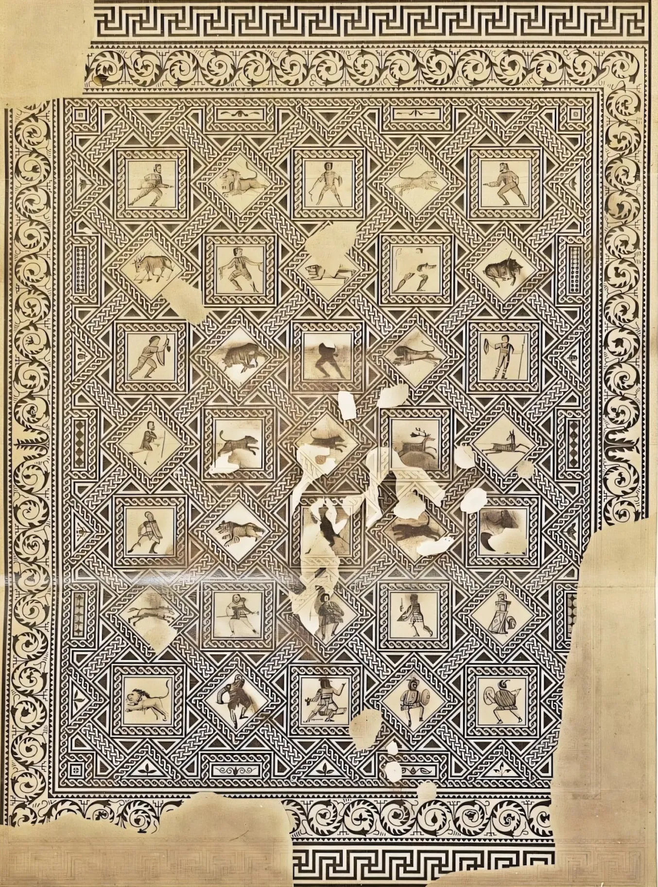 ��λŮ�ԡ�����Ů�Ƕ�ʿ��������ʧ���������б�����