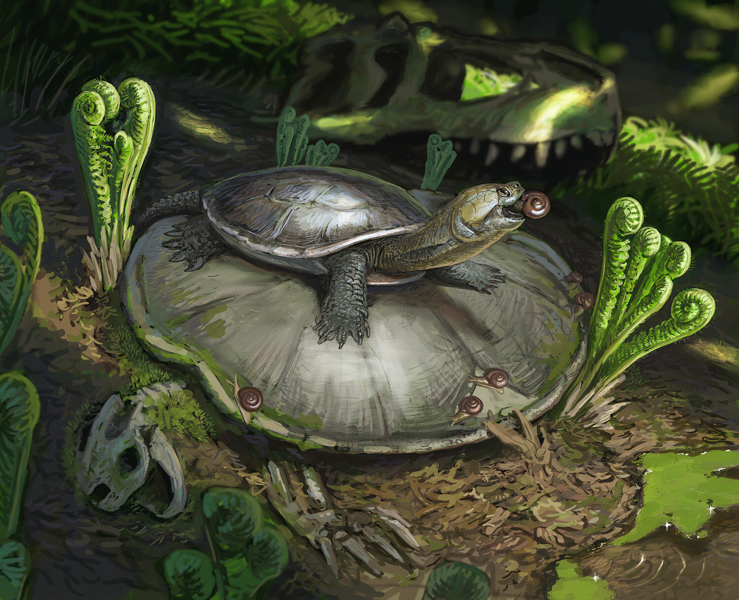 ��ѧ������֪��Ϊʲô�����ܺ���������߳�����ĩ��