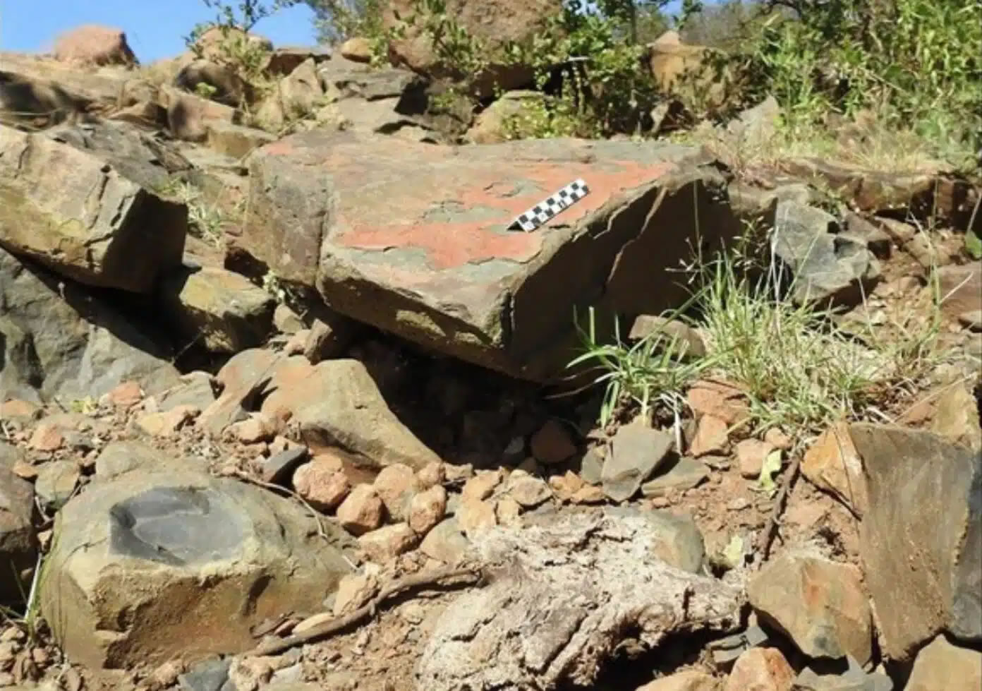 22����ǰ���Ŵ����ྭӪ��һ���޴��ʯͷ����