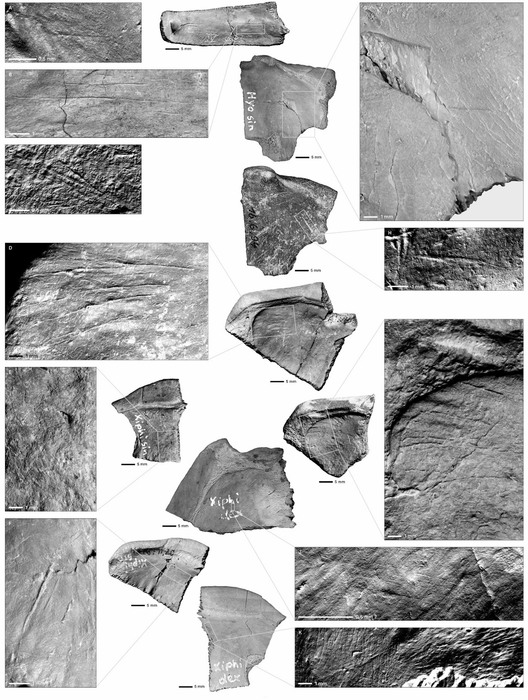 12.5����ǰ�ᰲ�������ú��꽨���������ϵ�һ�������Ϲ��߰�