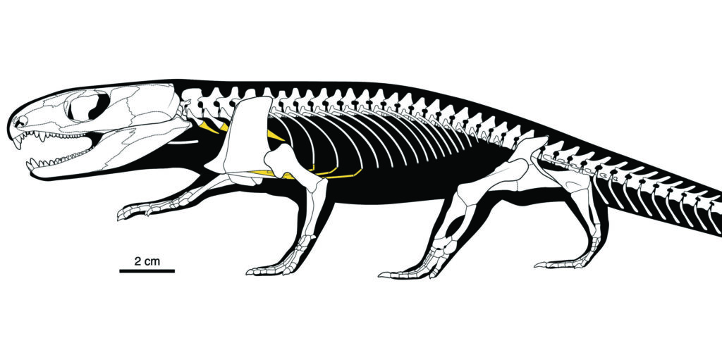 ��ֻ2.89����ǰ��΢С���淢���˽�������ĺ�����ʽ