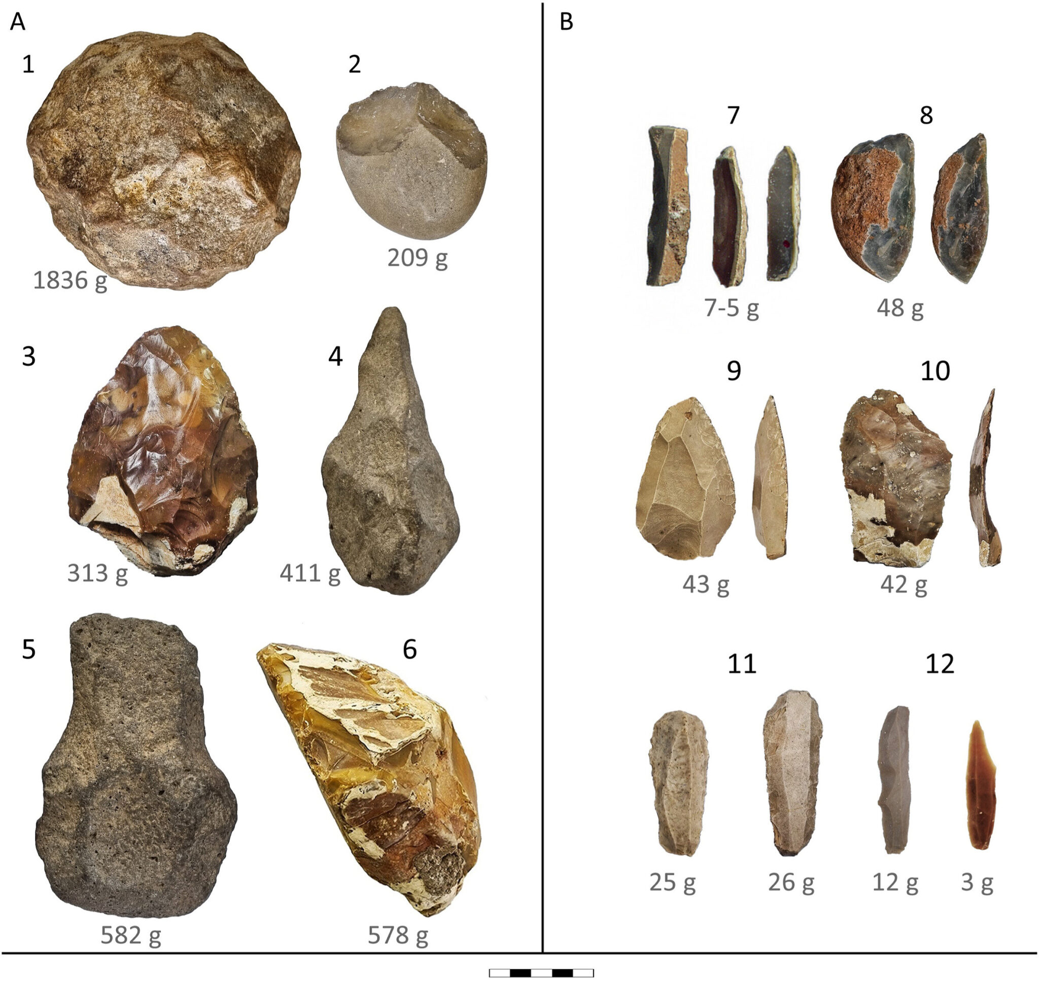 ���ž������������Ŵ����������������ȡ���˳��صĴ�