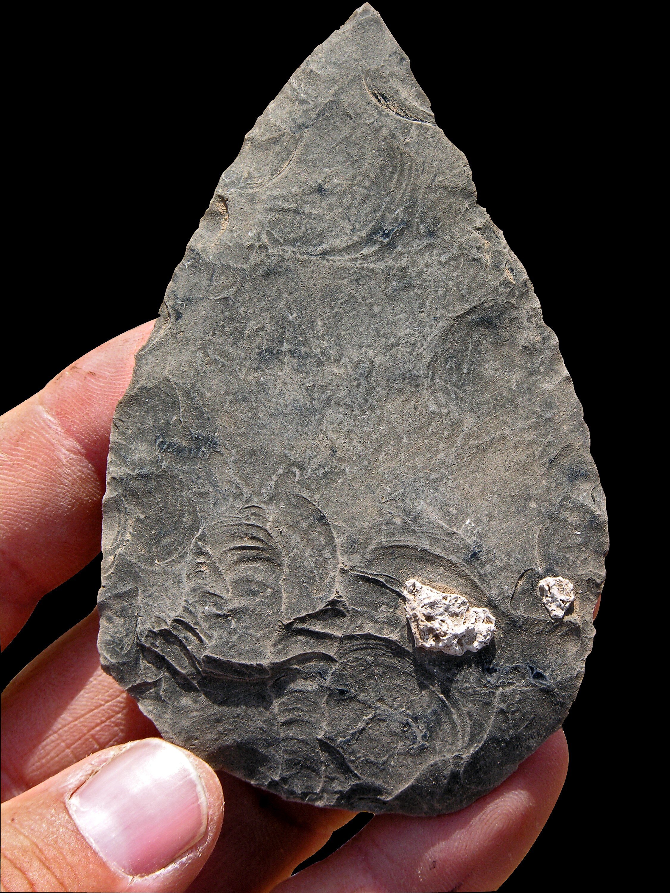 ���������ǵİ������ѹ�������һ��10����ǰ��������