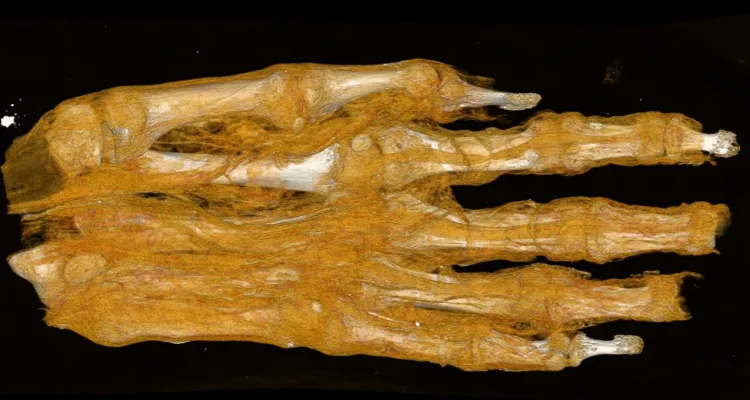 ��ֻ���Ǹ�ͷ��������ľ������