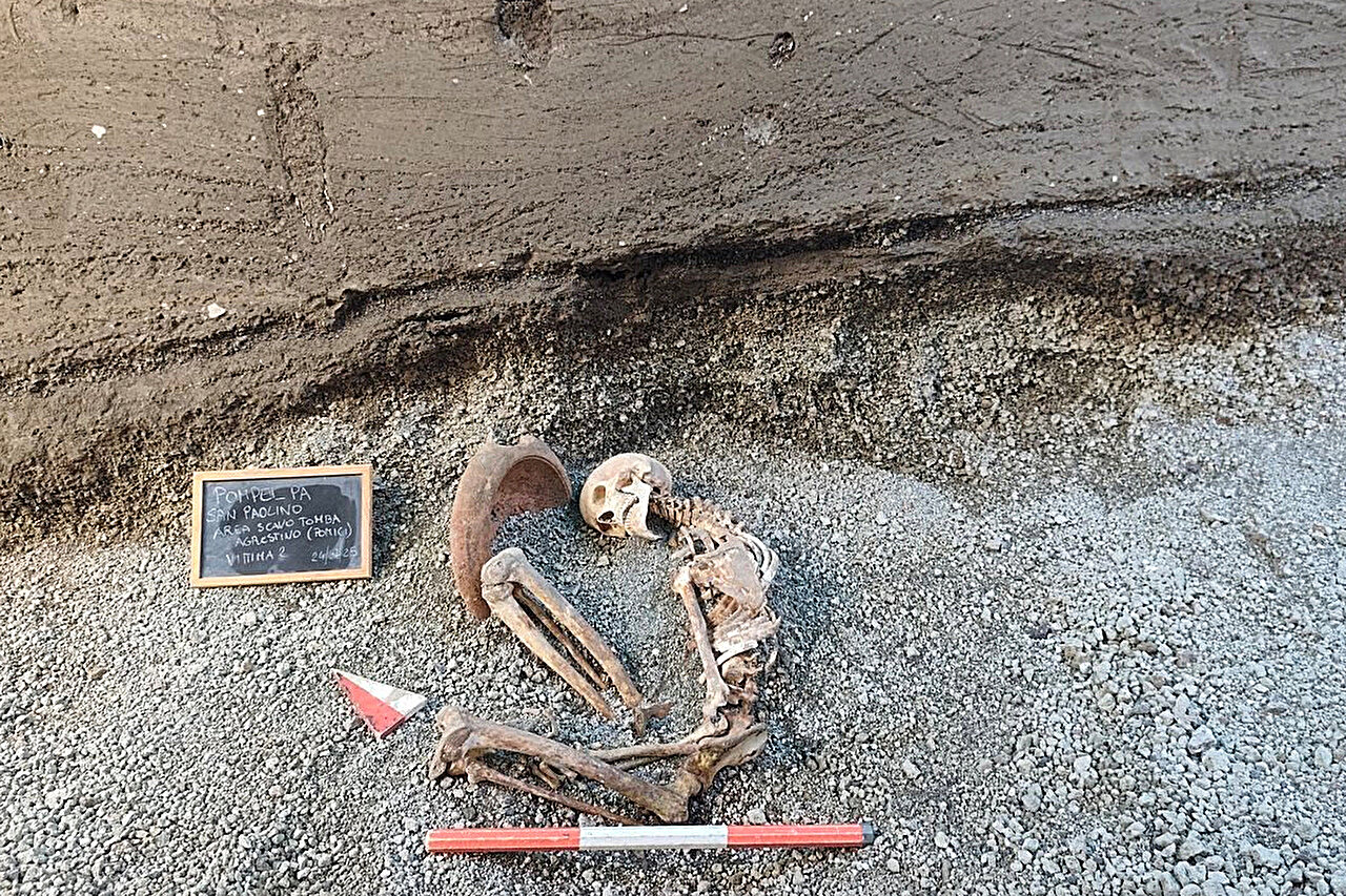 ����ѧ�ҷ�����һ�����빫Ԫ79���ɽ�緢�Ĺ����������ߵ�����