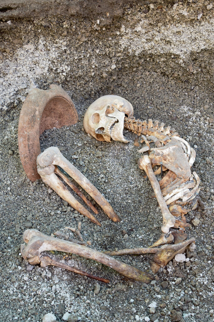 ����ѧ�ҷ�����һ�����빫Ԫ79���ɽ�緢�Ĺ����������ߵ�����